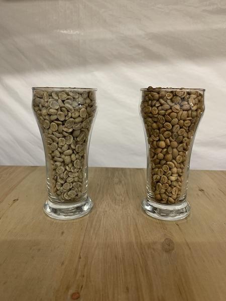 Arabica (left) vs Robusta (right) Beans