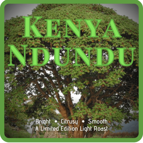 The coffee name "Kenya Ndundu" over a hagenia tree
